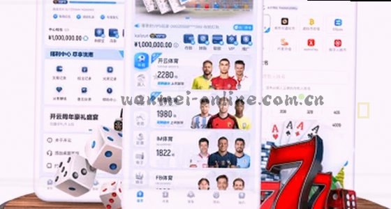 网站访问入口在哪找
